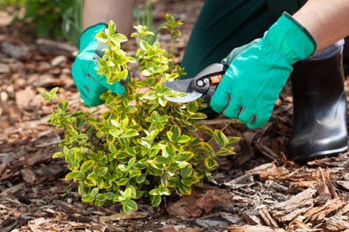 Professional landscapers working on a garden design